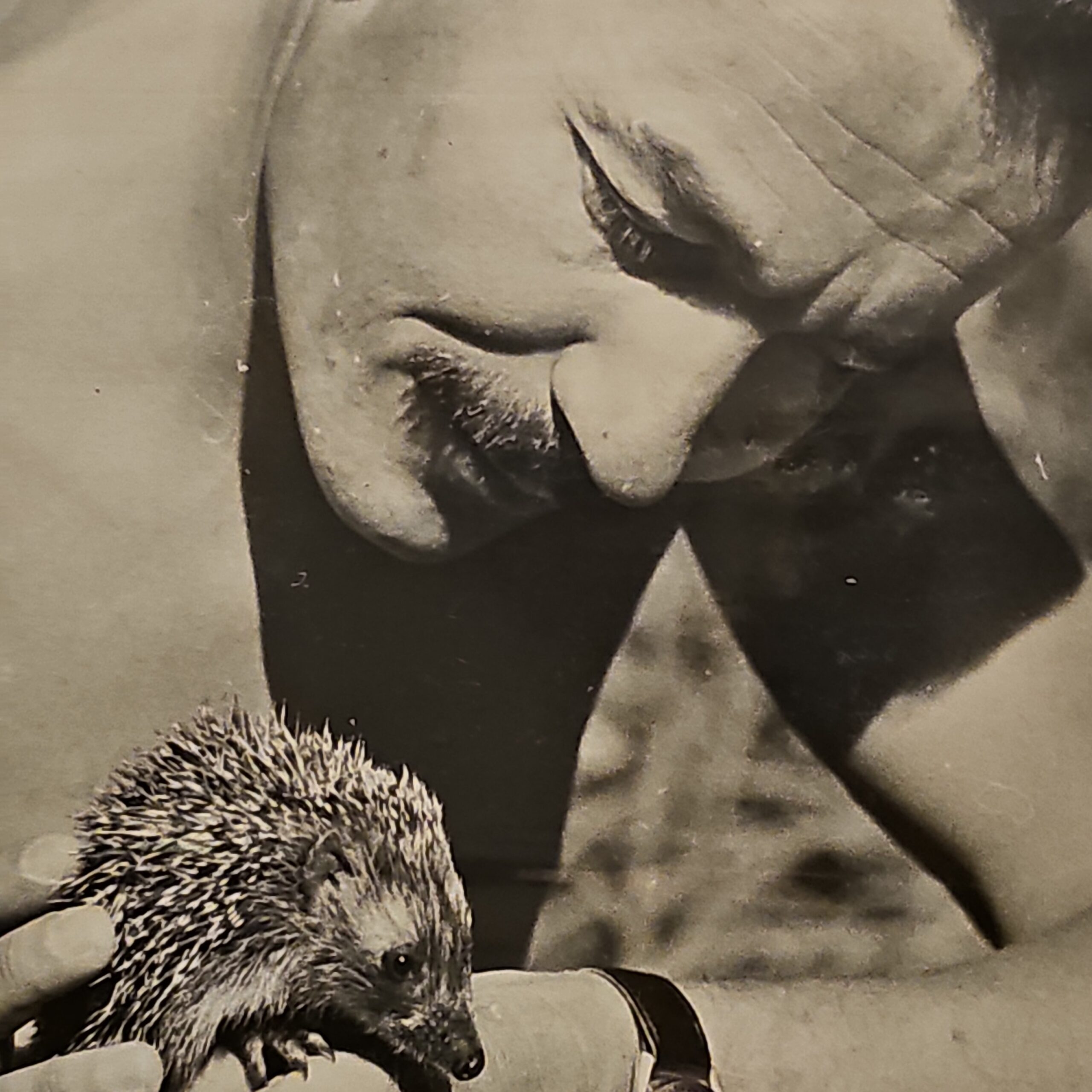 Photo de Paul FOUGEROL